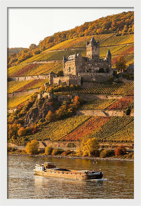 Rhine Valley Castle At Golden Hour