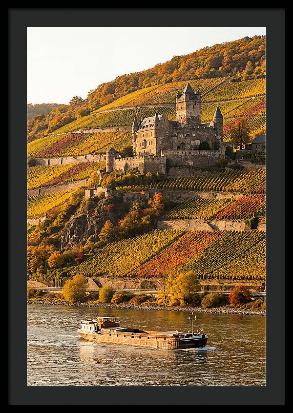 Rhine Valley Castle At Golden Hour