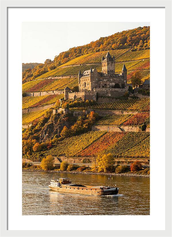 Rhine Valley Castle At Golden Hour