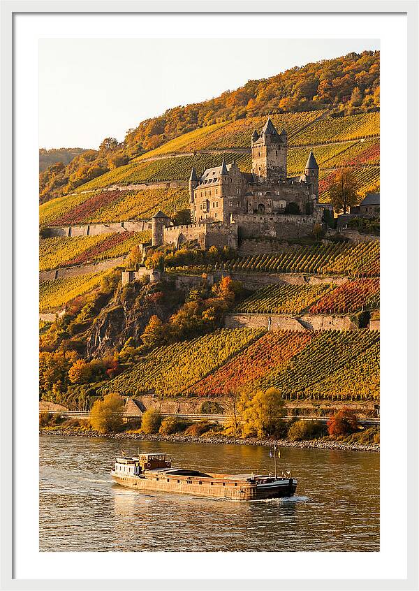 Rhine Valley Castle At Golden Hour