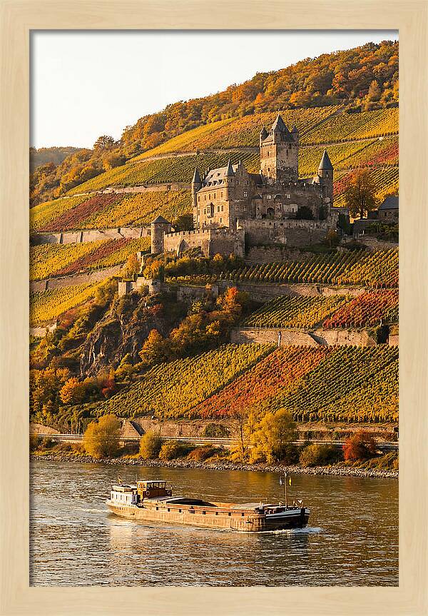 Rhine Valley Castle At Golden Hour