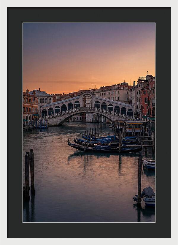 Rialto Bridge At Dusk