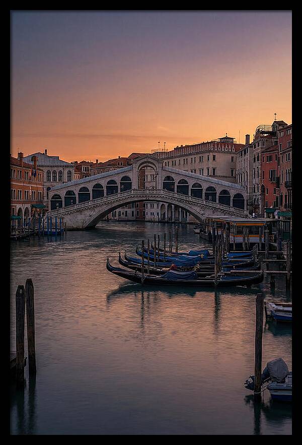 Rialto Bridge At Dusk