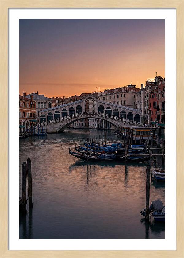 Rialto Bridge At Dusk