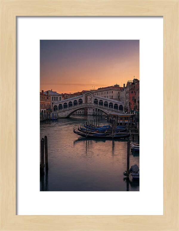 Rialto Bridge At Dusk