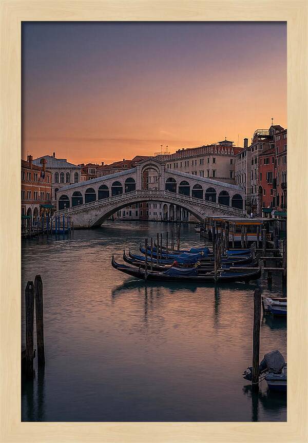 Rialto Bridge At Dusk