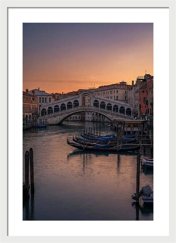 Rialto Bridge At Dusk
