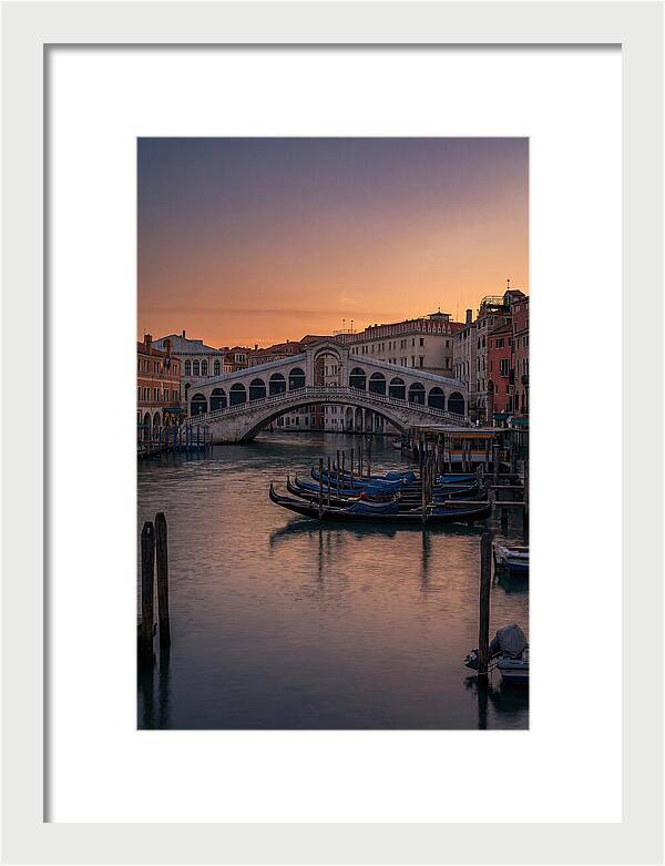 Rialto Bridge At Dusk