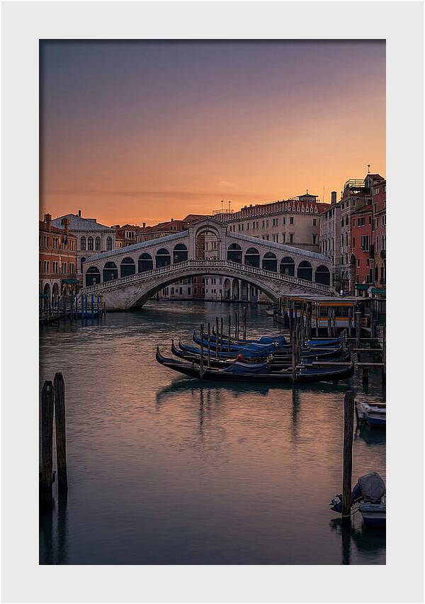 Rialto Bridge At Dusk