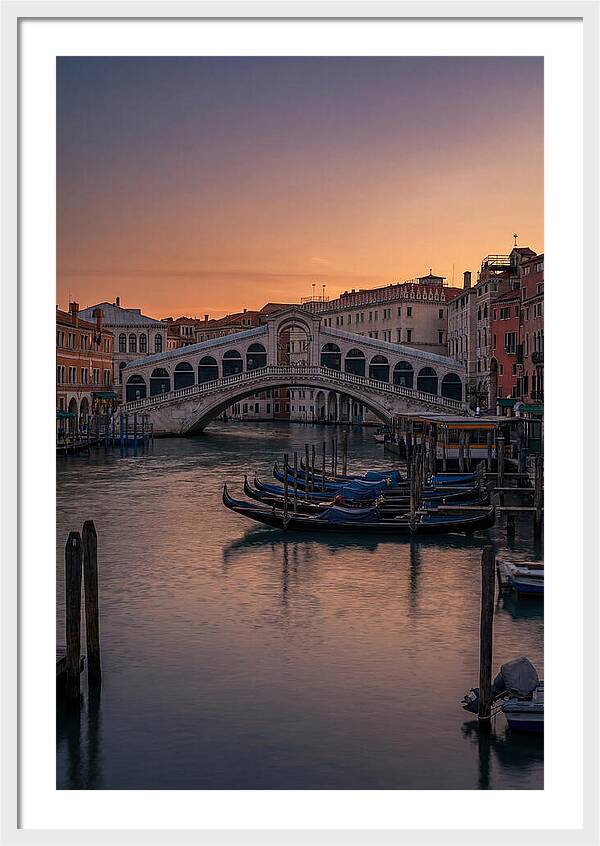 Rialto Bridge At Dusk