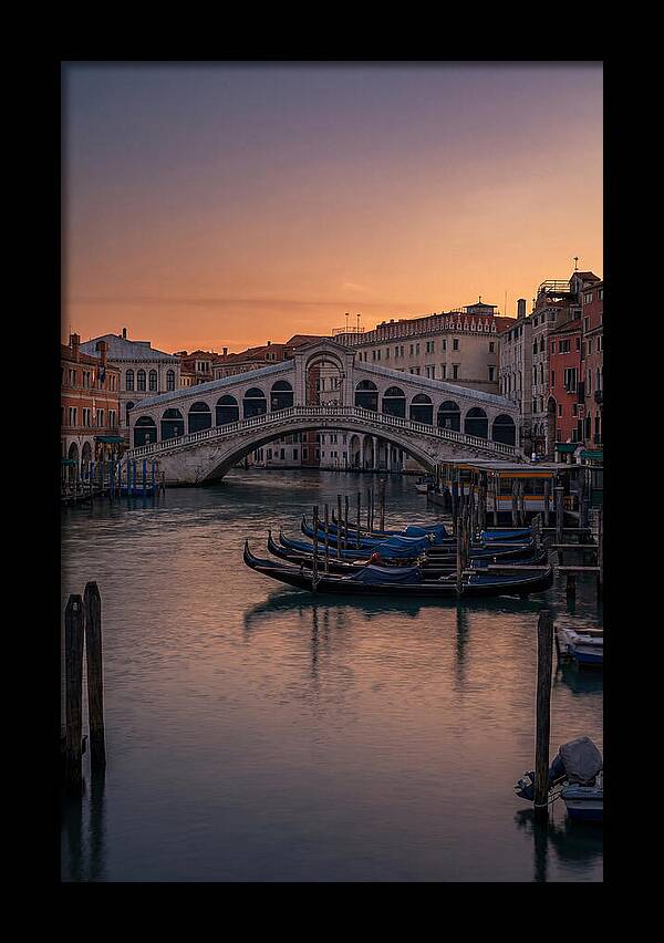 Rialto Bridge At Dusk