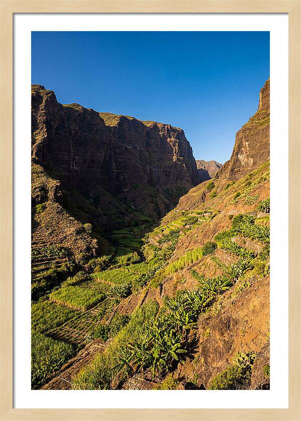 Ribeira Grande Valley Serenity