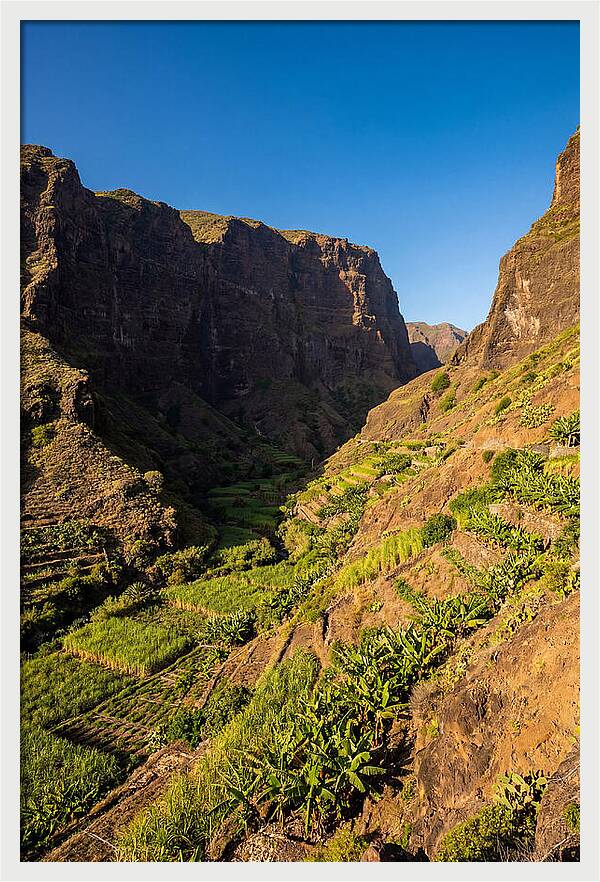 Ribeira Grande Valley Serenity