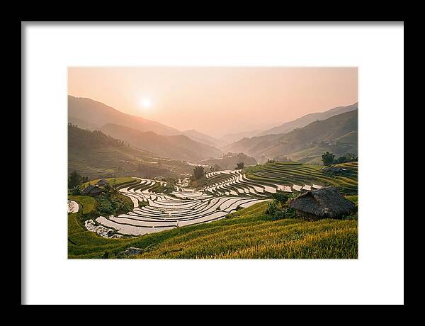 Rice Terraces At Sunset