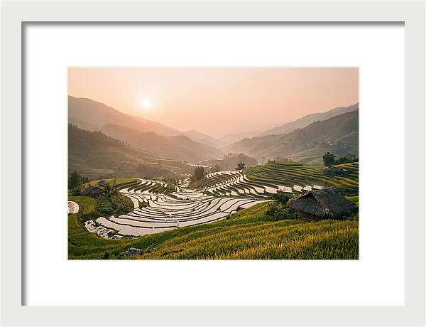 Rice Terraces At Sunset