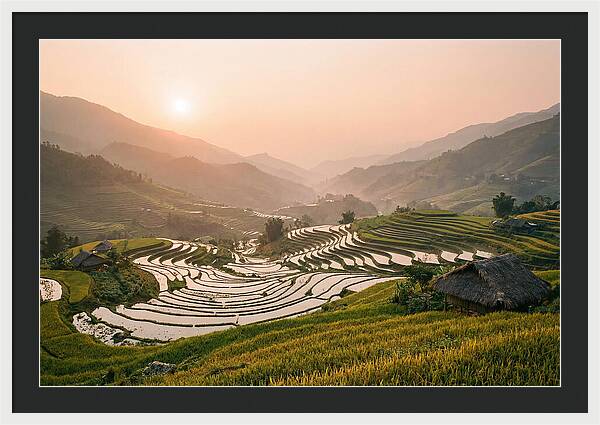 Rice Terraces At Sunset