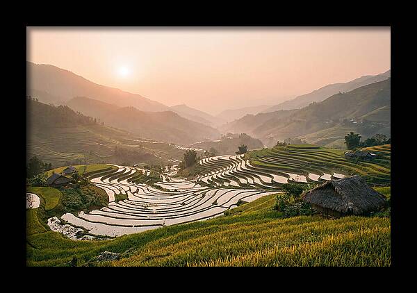 Rice Terraces At Sunset