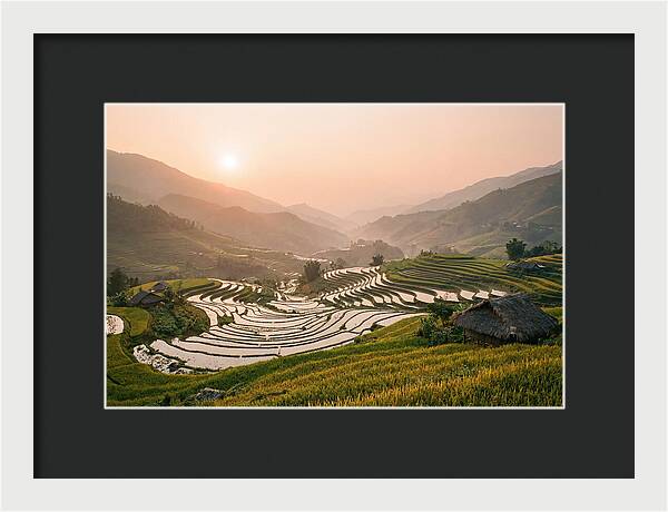 Rice Terraces At Sunset