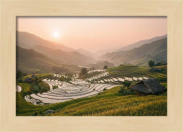 Rice Terraces At Sunset
