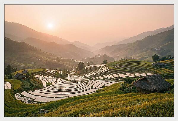 Rice Terraces At Sunset