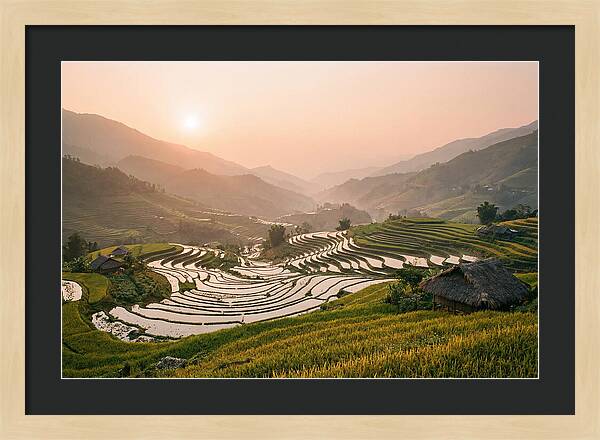 Rice Terraces At Sunset