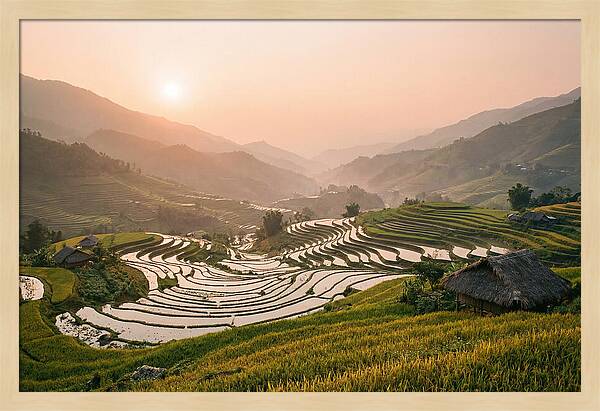 Rice Terraces At Sunset