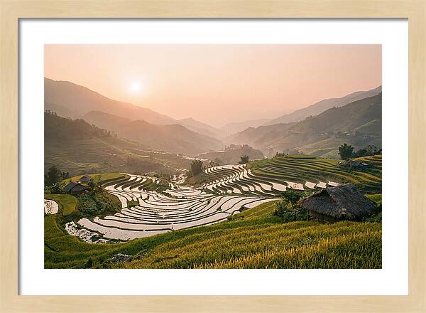 Rice Terraces At Sunset