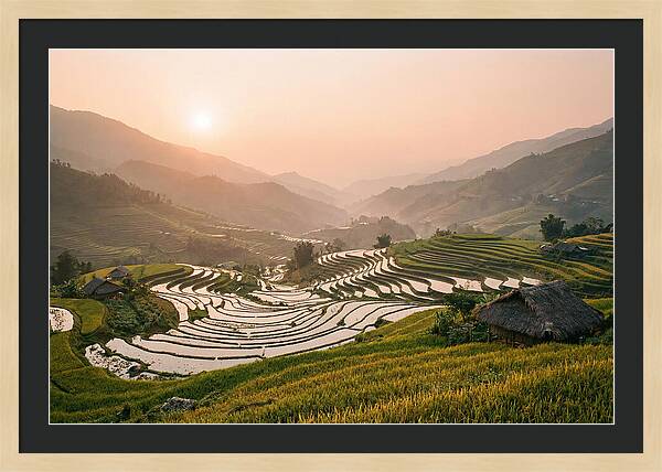 Rice Terraces At Sunset