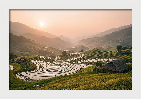 Rice Terraces At Sunset