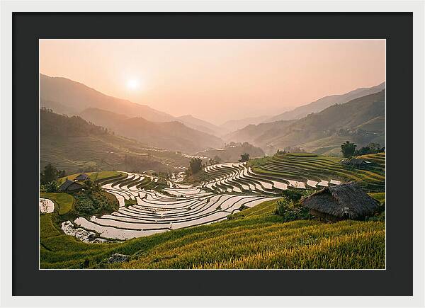 Rice Terraces At Sunset