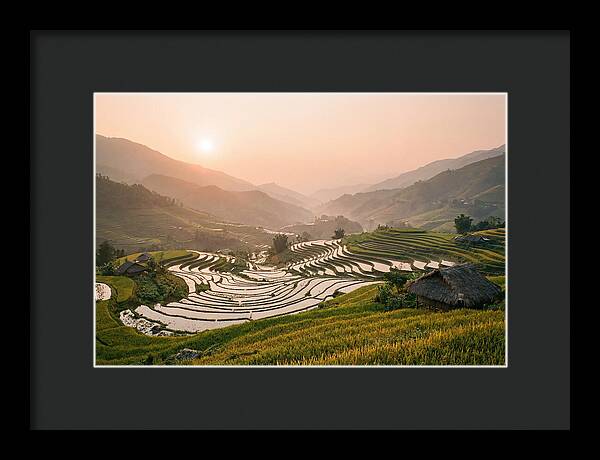 Rice Terraces At Sunset