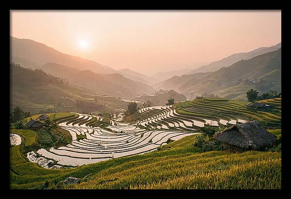 Rice Terraces At Sunset
