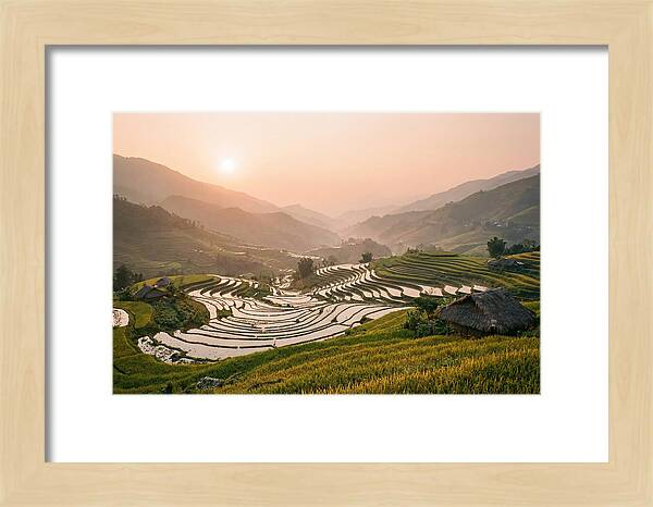 Rice Terraces At Sunset