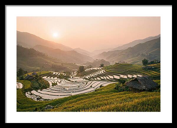 Rice Terraces At Sunset