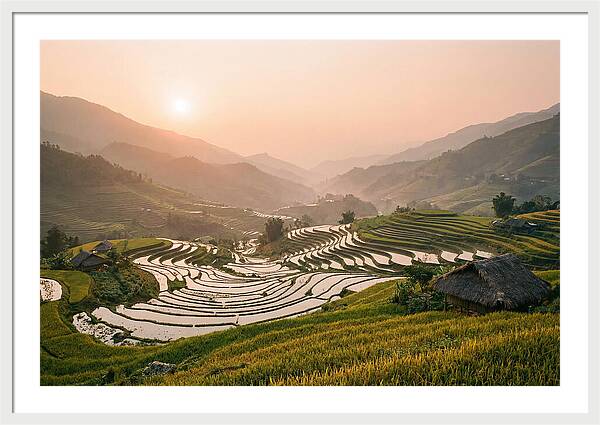 Rice Terraces At Sunset