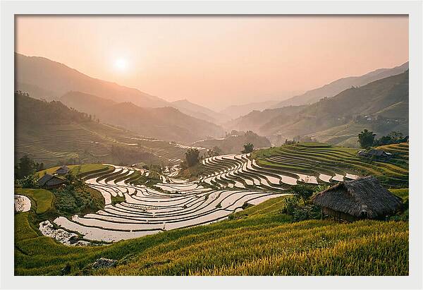Rice Terraces At Sunset