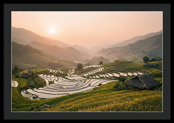 Rice Terraces At Sunset