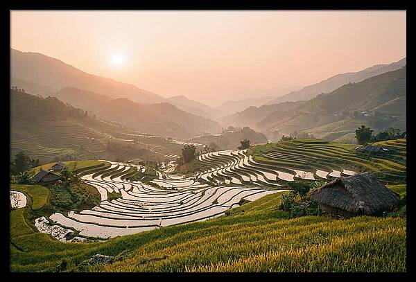 Rice Terraces At Sunset