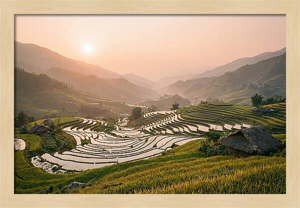 Rice Terraces At Sunset