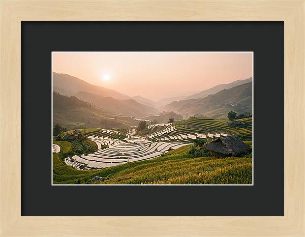 Rice Terraces At Sunset
