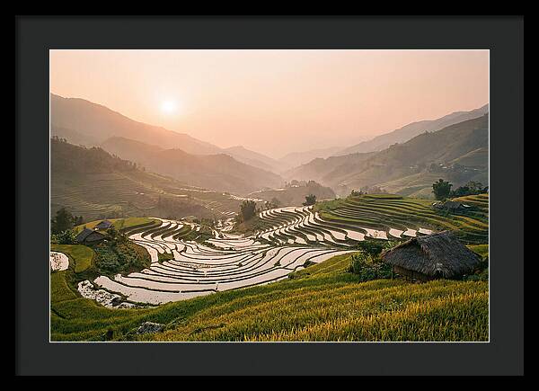 Rice Terraces At Sunset