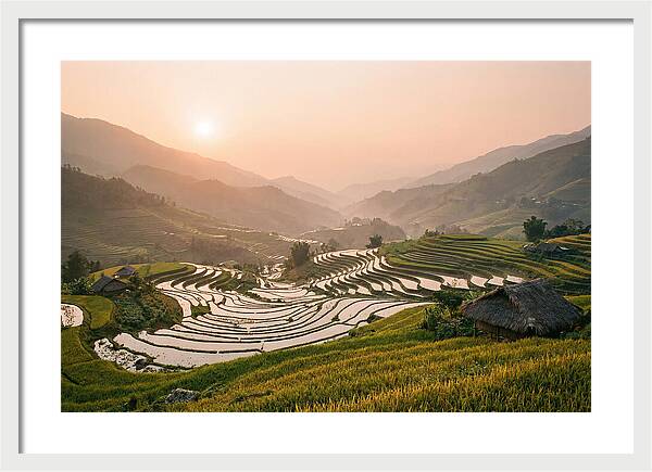 Rice Terraces At Sunset