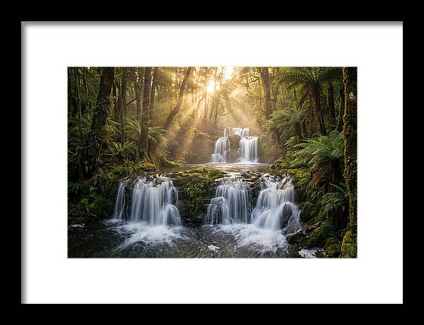 Ricketts Glen Serenity