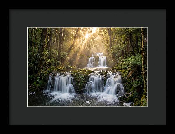 Ricketts Glen Serenity