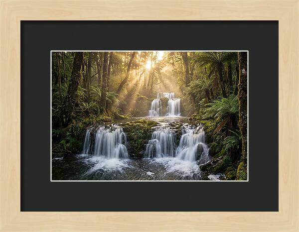 Ricketts Glen Serenity