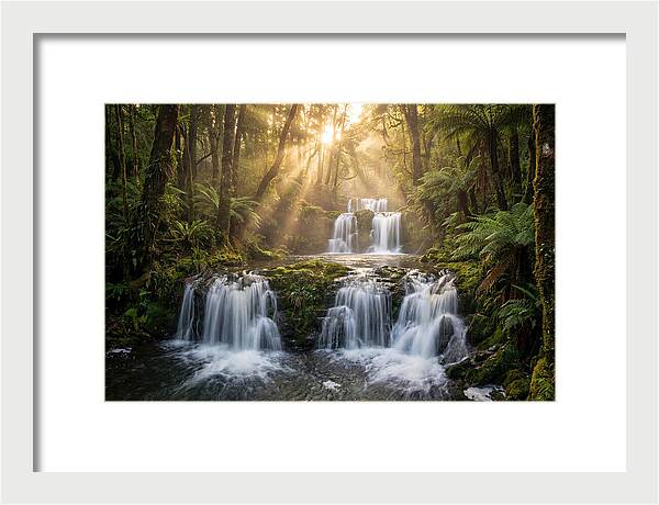 Ricketts Glen Serenity