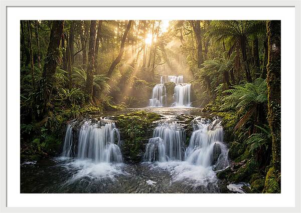 Ricketts Glen Serenity