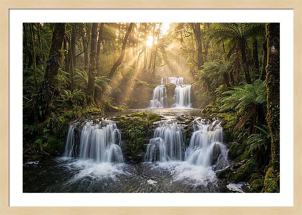 Ricketts Glen Serenity