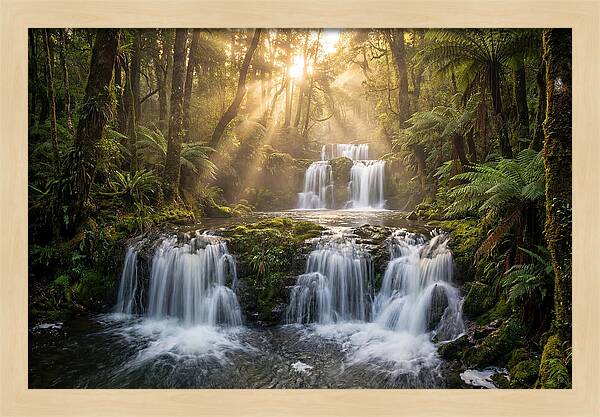 Ricketts Glen Serenity
