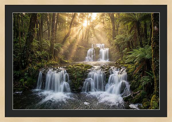 Ricketts Glen Serenity